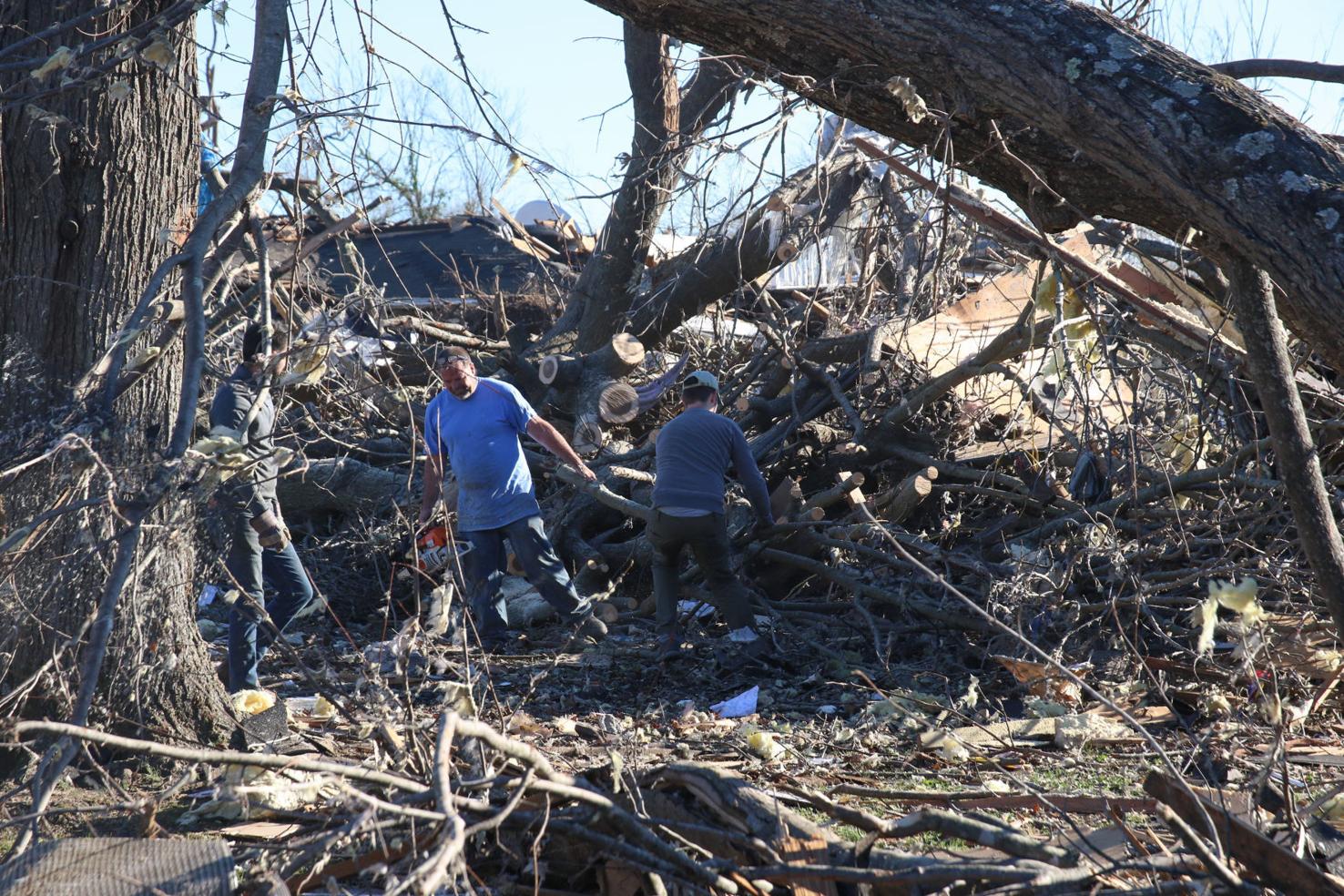 Nearly 700 trees donated to western Ky. counties hit by 2021 tornado