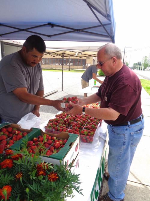 Fresh Strawberries