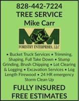 M&M TREE SERVICE