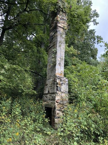 WNC Afield: You'll like this hike. Trust me