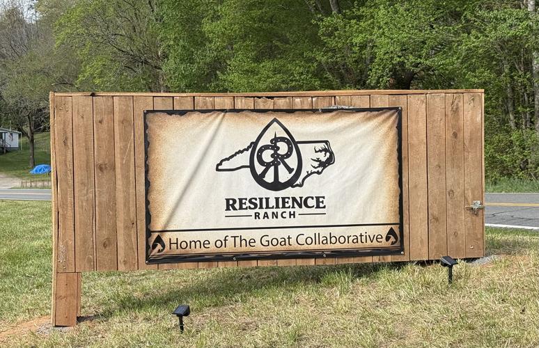 GOAT Collaborative 7.jpeg