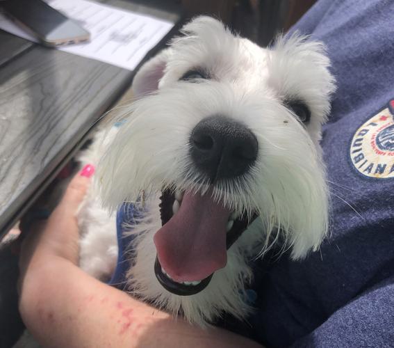 Adventures with Dandy Bigfoot 2.jpg