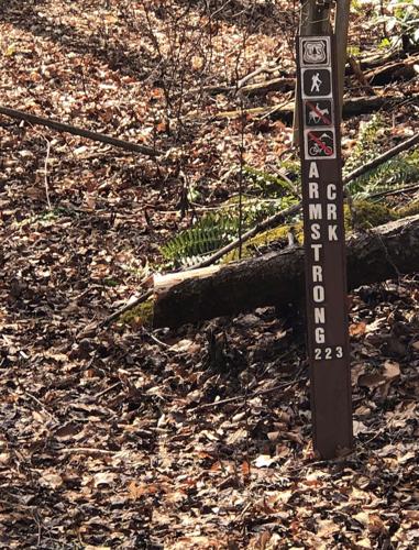 WNC Afield: Armstrong Creek Trail a little soggy, but worth it