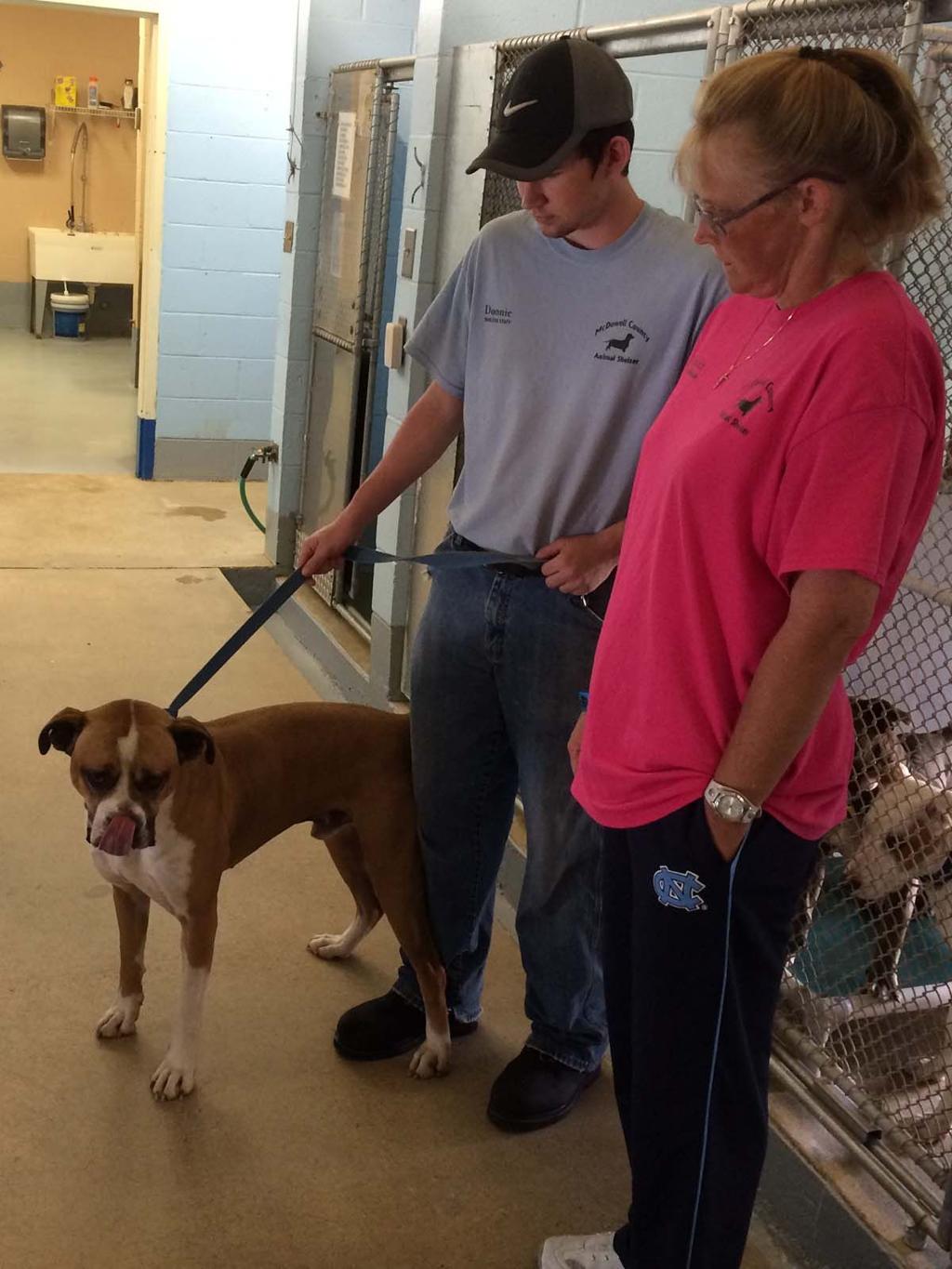 Shelter Makes Improvements Reduces Number Of Animals Euthanized Latest Headlines Mcdowellnews Com