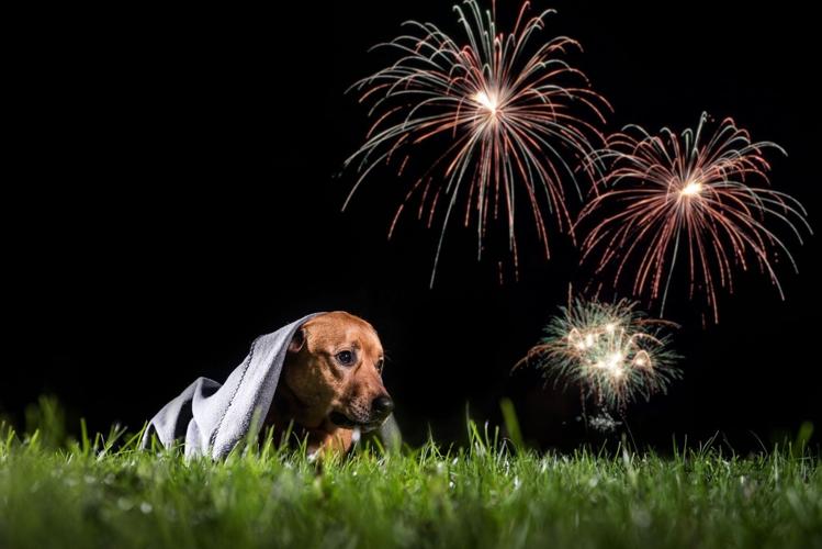 20170630w_nws_fireworks