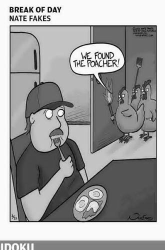 Page D6 eedition image