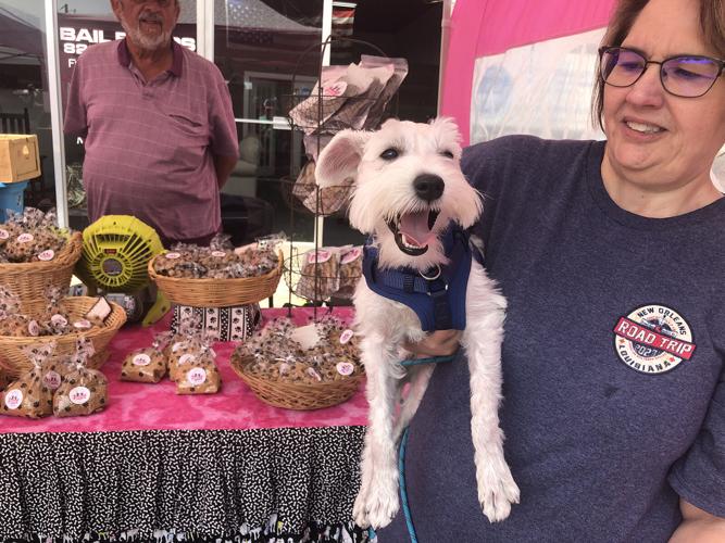 Adventures with Dandy Bigfoot 5.jpg