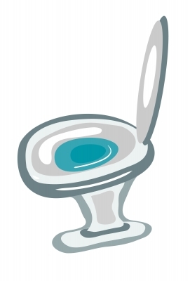 Scott Hollifield: Bathroom makeover fit for a king – or secretary