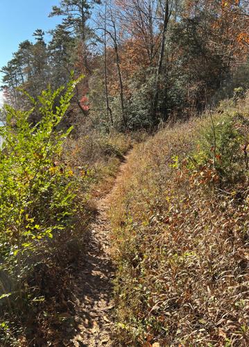 WNC Afield: Longing for level ground? This hike's for you