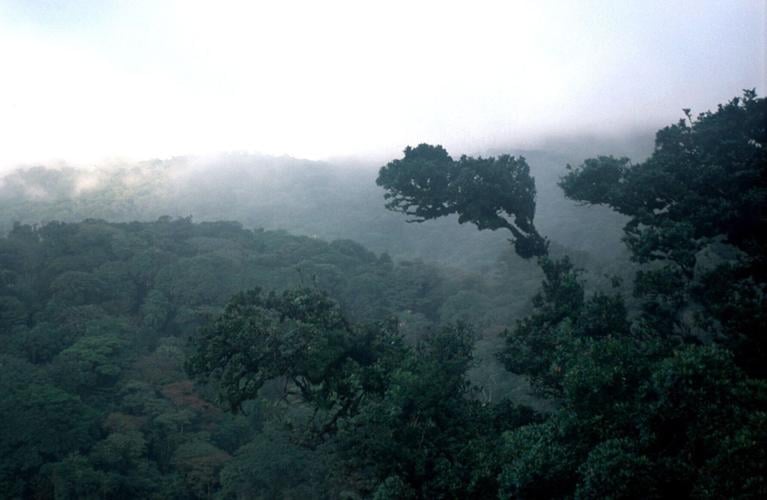 Costa Rica, which gained independence from Spain in 1821, boasts 6% of the planet's biodiversity, despite occupying just 0.03% of Earth's surface area.