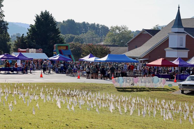 Walk for Life 2.jpg