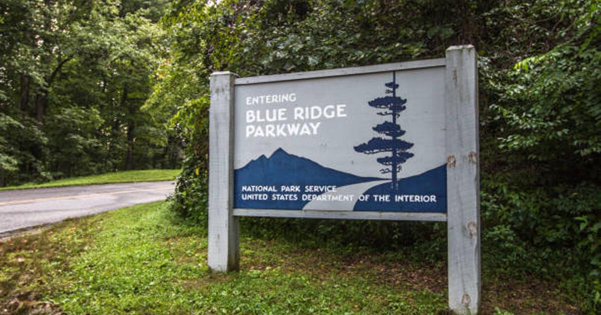 Bear sightings on the rise on the Blue Ridge Parkway - Vimarsana News