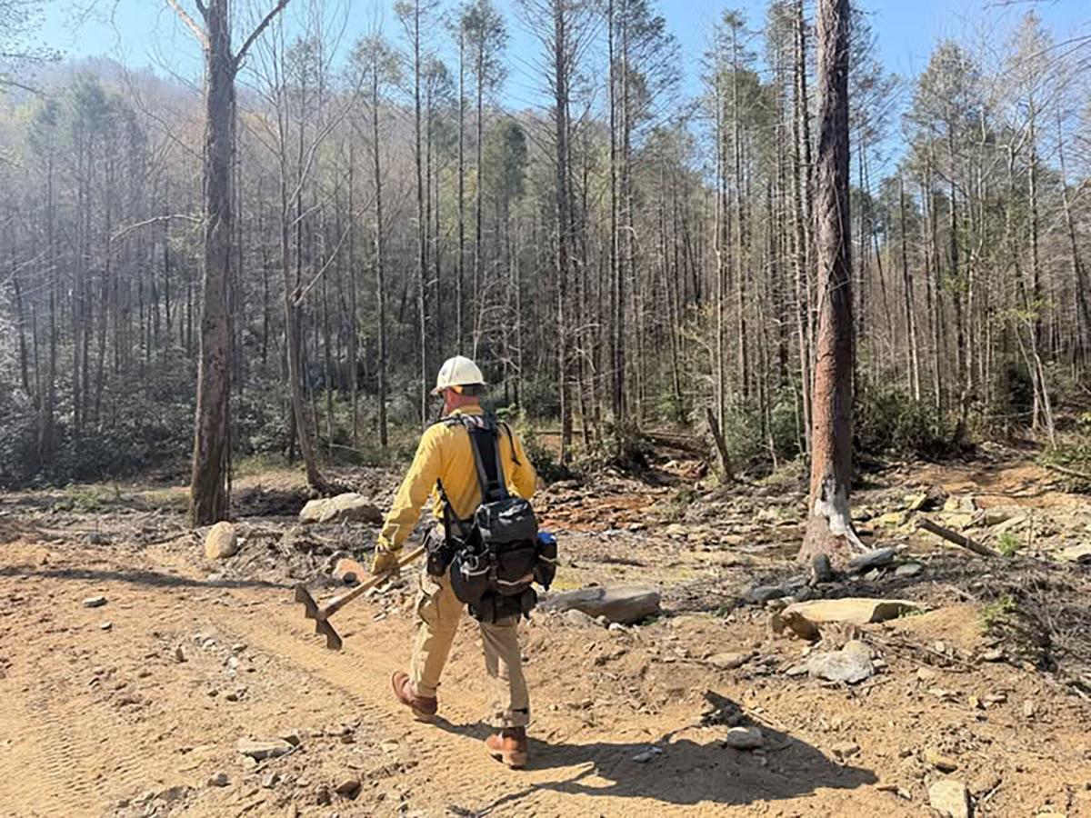 Yet another fire update.jpg