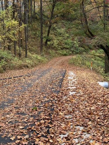 Saturday hike to celebrate reopening of Point Lookout Trail