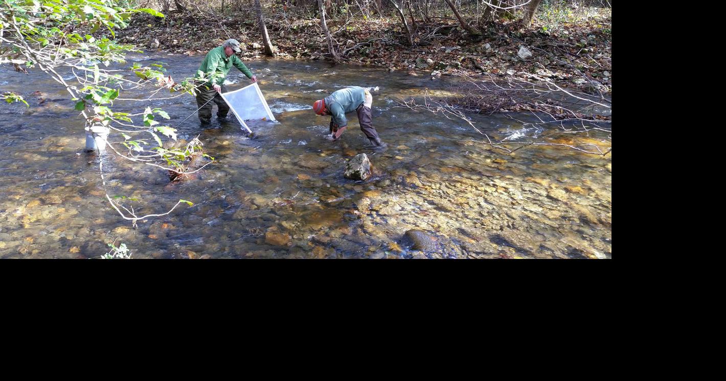Assessments show streams around Lake James impacted by Hurricane Helene, but on the mend