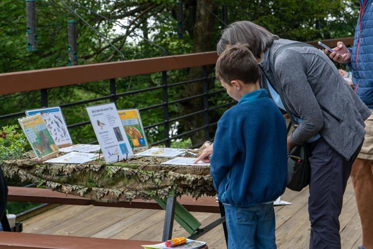 Grandfather Mountain Junior Naturalist Day Interpretive Table Photo