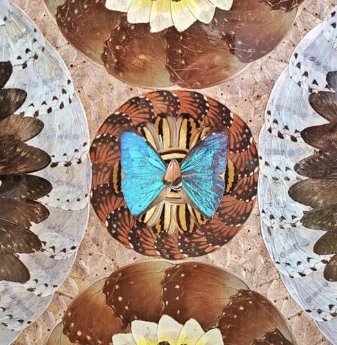 Freedom Life's event 3.jpg