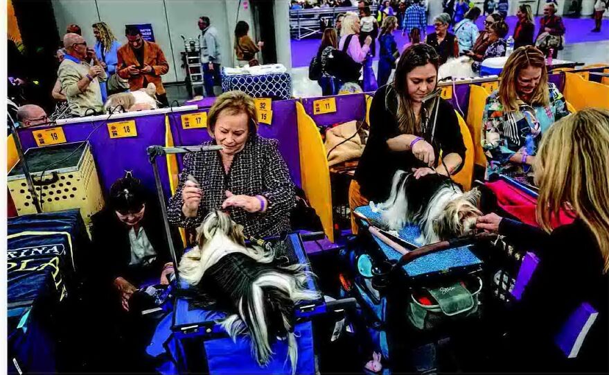 150TH WESTMINSTER KENNEL CLUB DOG SHOW HELD