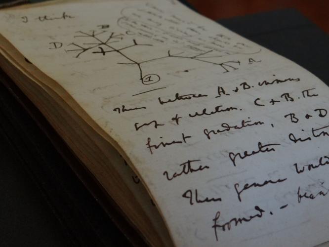 'Happy Easter X': Missing set of valuable Charles Darwin notebooks returned with note