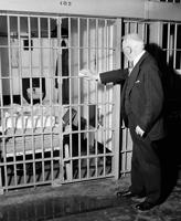 Trump says he will reopen Alcatraz prison