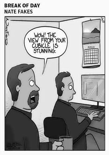 Page D3 eedition image