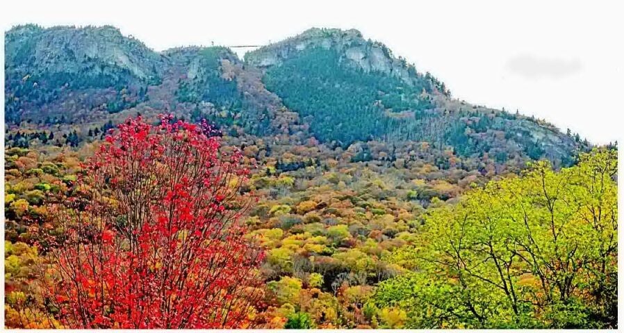 Plan an autumn visit to Grandfather Mountain