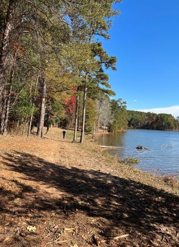 WNC Afield: Longing for level ground? This hike's for you
