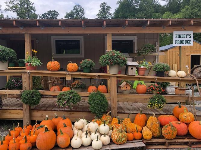 Finley’s Produce offers fresh veggies, flowers, gift items and more