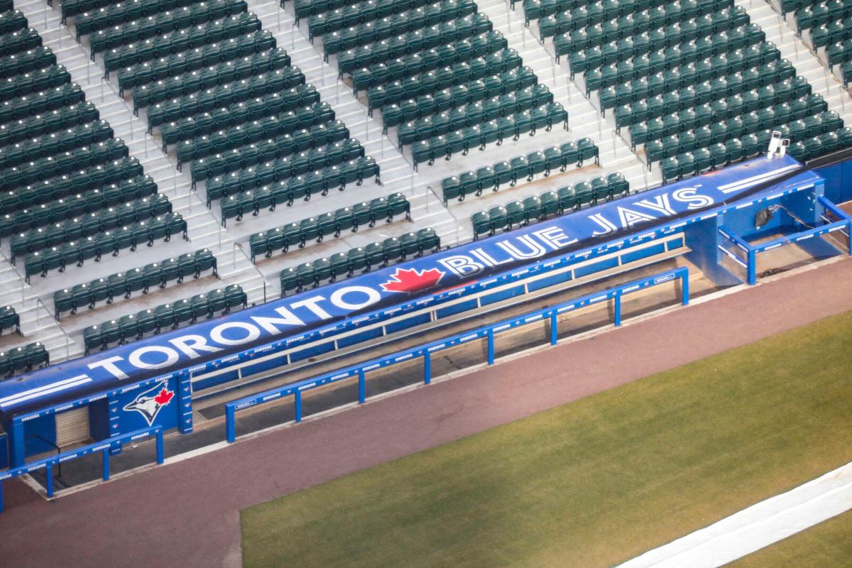 Sahlen Field Blue Jays (copy)