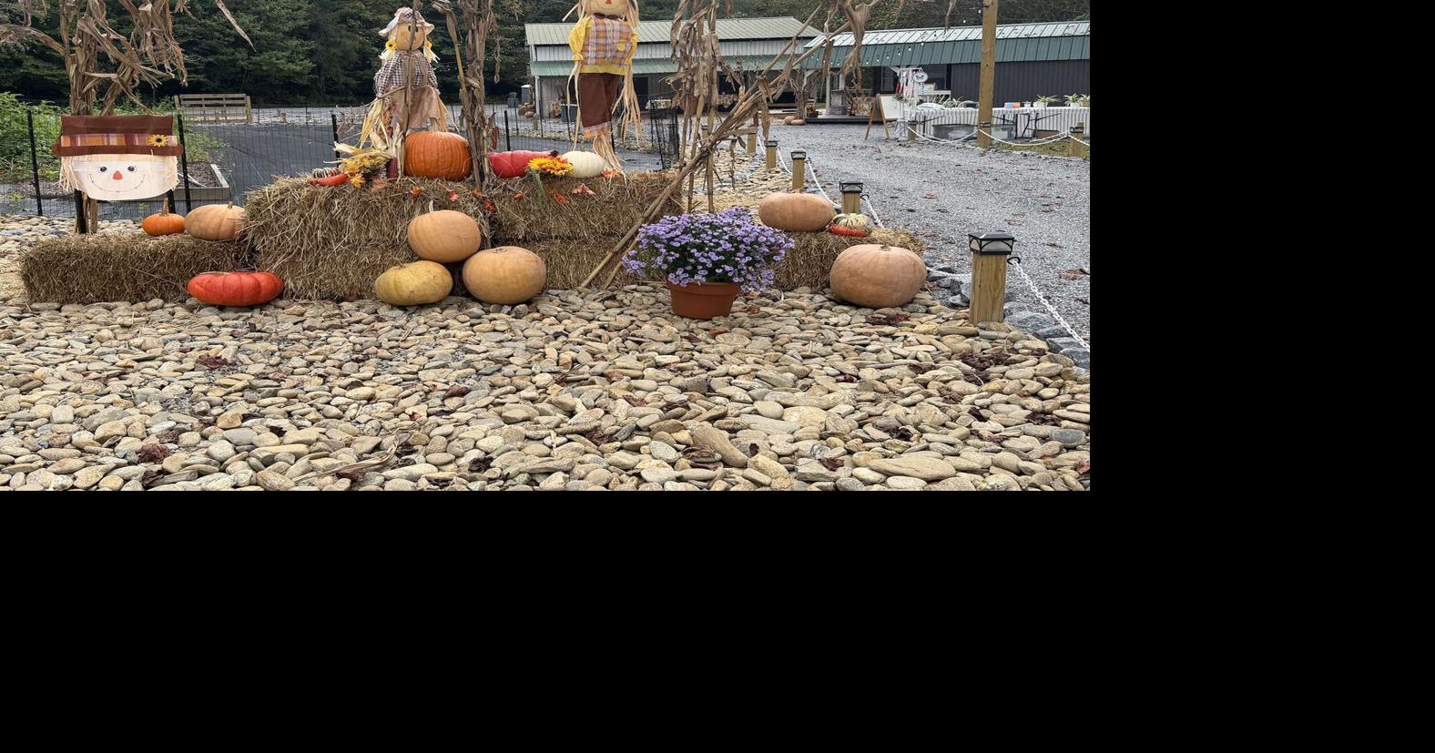 Sugar Hill Market in Marion to hold Spooktacular on Friday