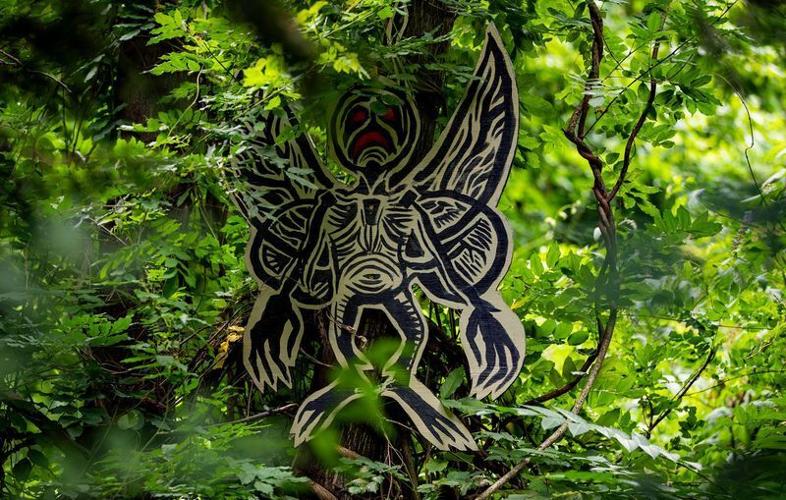 An art installation is displayed among the trees in Batland at UNC Asheville's South Campus property on July 22, 2026, in Asheville.