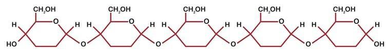 Chains of simple sugar molecules