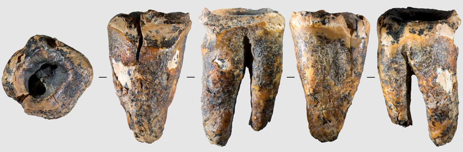 SCIENCE-NEANDERTHALS/