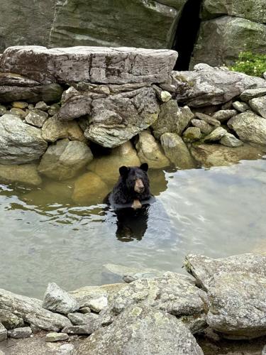 Yonnie in Pond