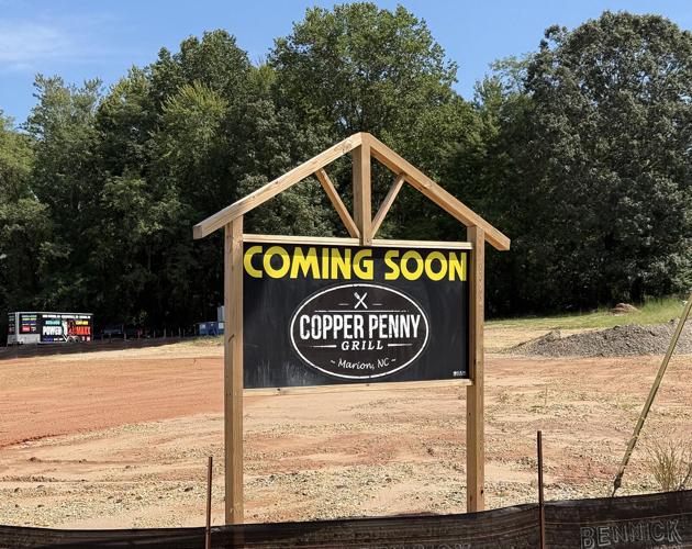 Copper Penny update 1.jpg