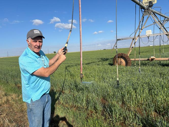 Drought delays crop plantings and hurts wheat yields in the U.S. Plains