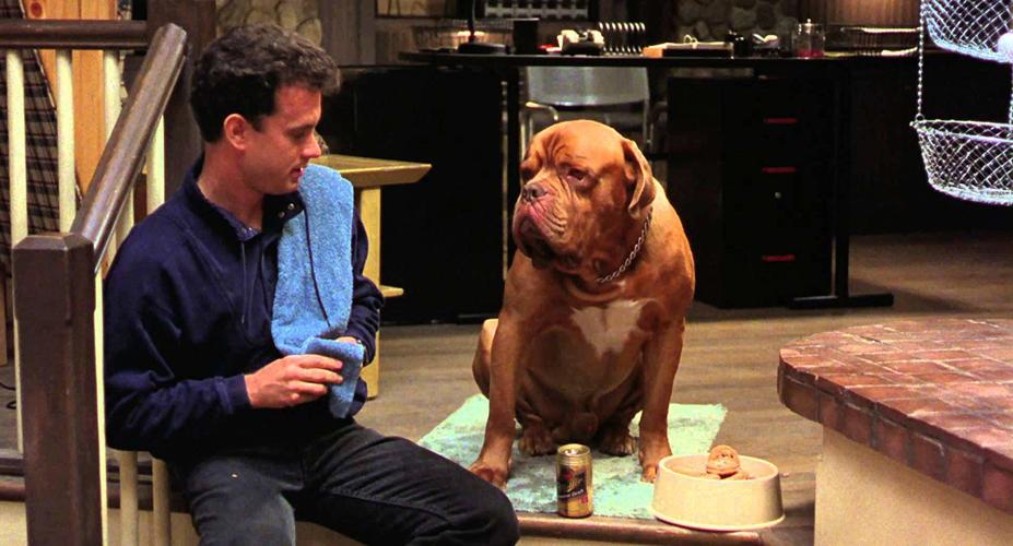 Turner & Hooch