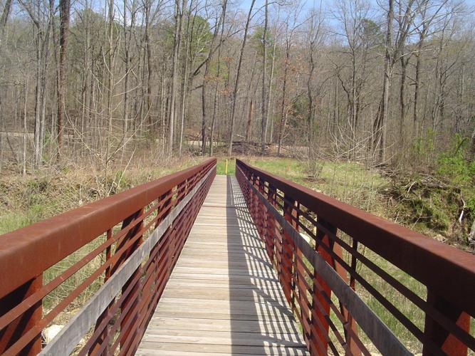 WNC Afield Bald Knob hike not for the faint of heart