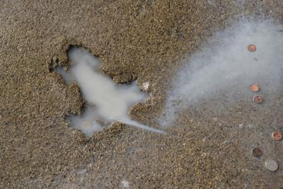 ODD Chicago Rat Hole Debunked