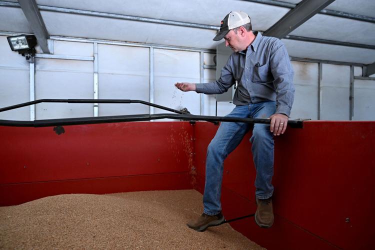 Drought makes conditions dire for US farmers facing high fertilizer costs