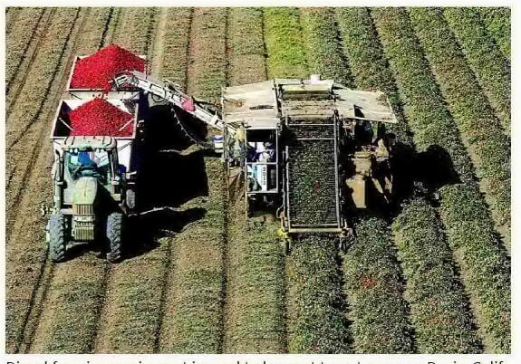 FUELING INFLATION