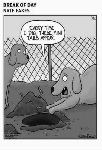 Page D6 eedition image