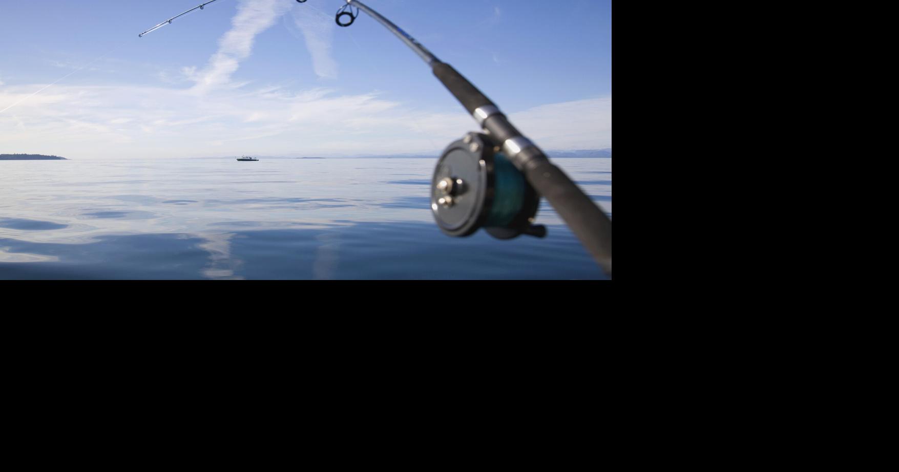 Unexpected finds made in blue marlin caught during NC tournament, scientists say