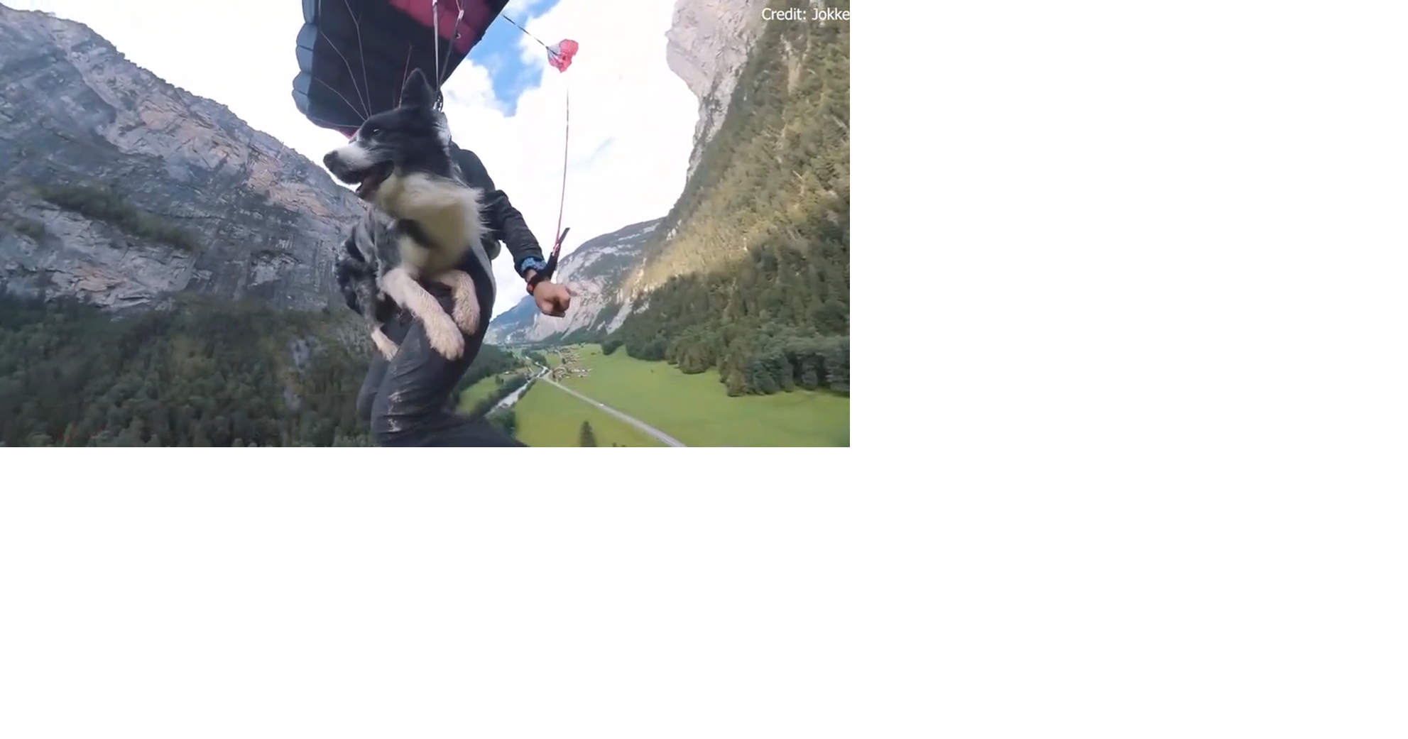 Watch: Daring dog leaps off 2,000 foot cliff and parachutes back down ...