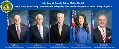 Commission preview.jpg