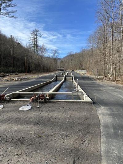 The Armstrong State Fish Hatchery is currently the North Carolina Wildlife Resources Commission's only operational fish hatchery, and an unusually hot summer caused fish to die.