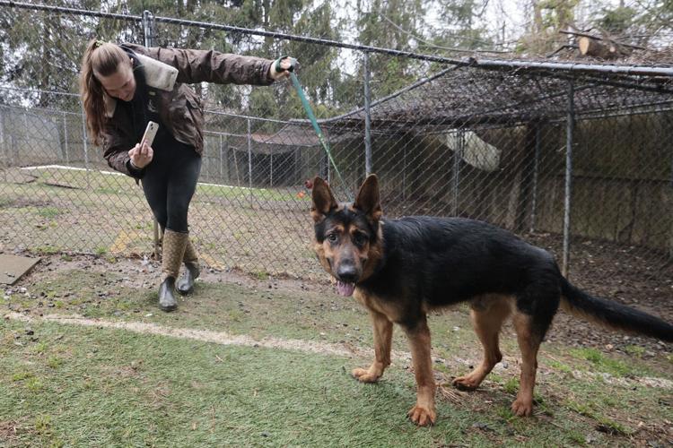 Animal rescue