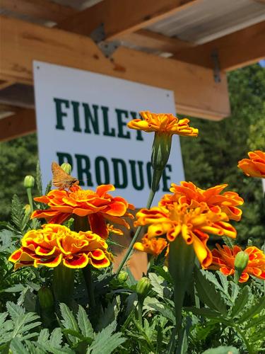 Finley’s Produce offers fresh veggies, flowers, gift items and more