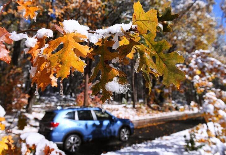 Snow covers trees on Highway 140 along the Merced River just outside Yosemite Valley on Monday, Nov. 9, 2020.
