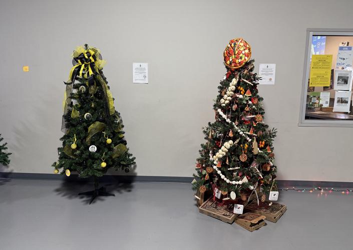 Festival of Trees 2025 2.jpg